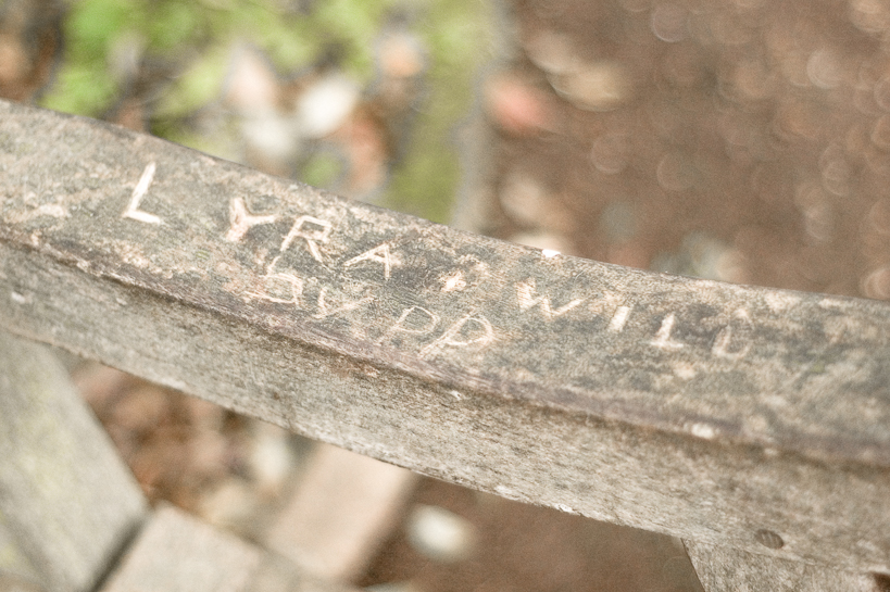Will and Lyra's bench in Oxford Botanical Gardens