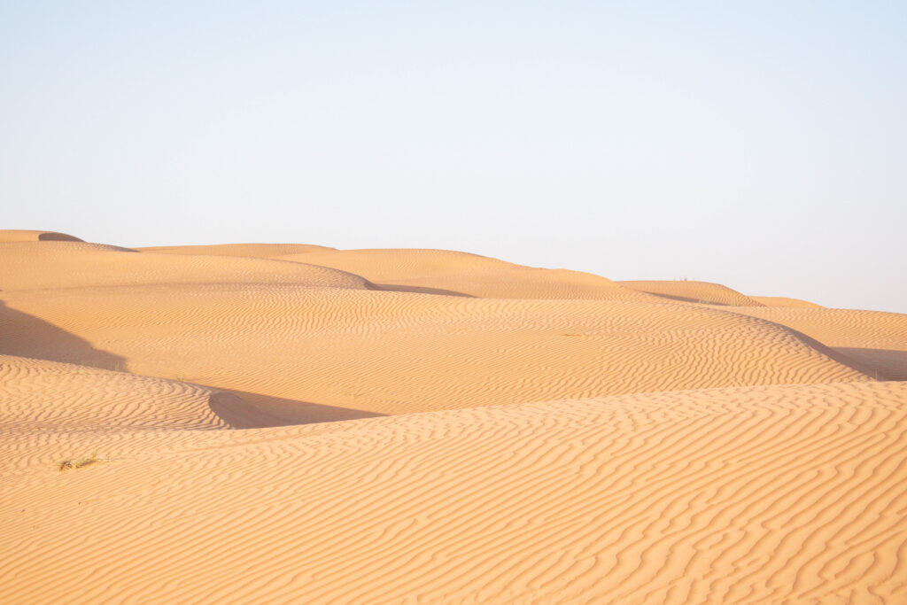 Expanse of sand dunes marked by the wind