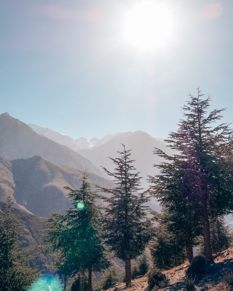 Wooded hike in Imlil