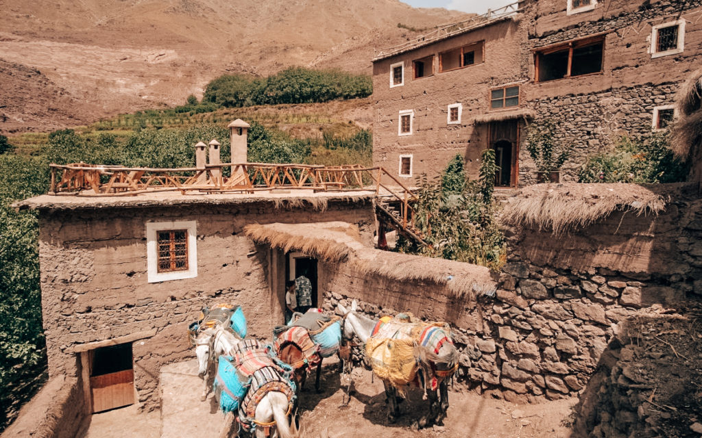 Pack donkeys in Imlil