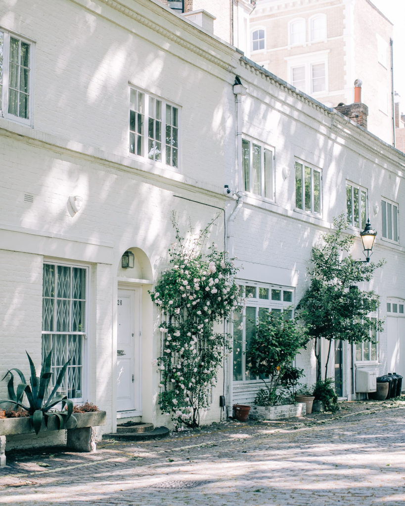 White fronted London mews street covered in yellow roses