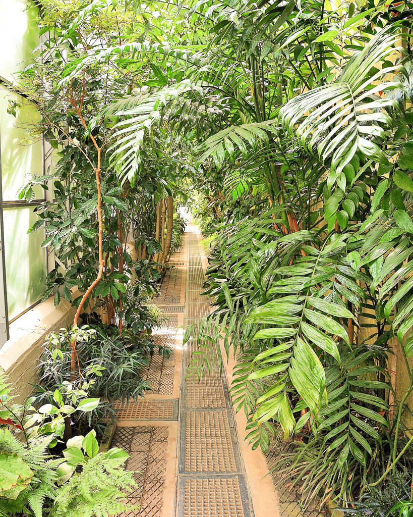 Oxford Botanical Gardens