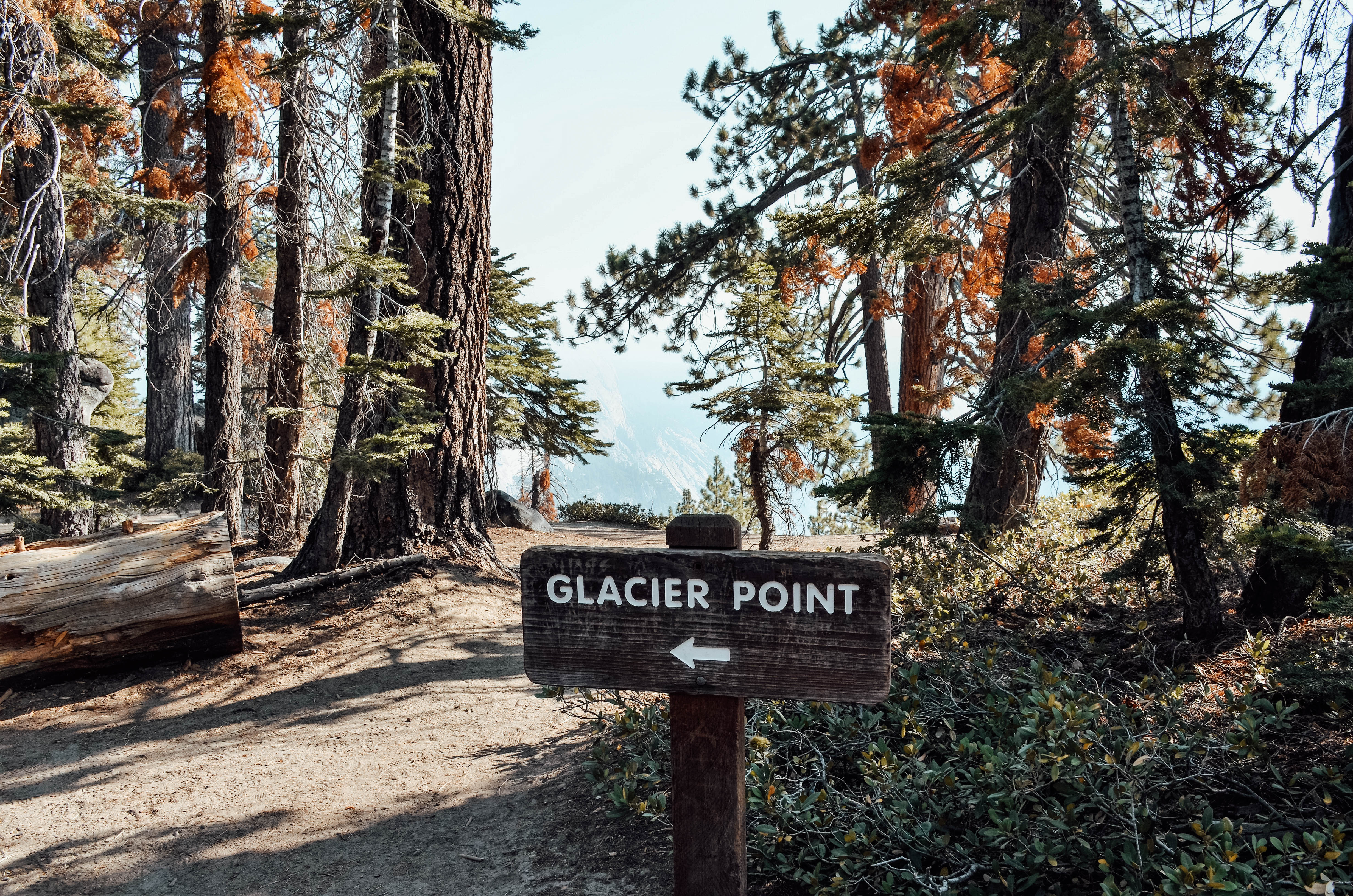 Sign post to Glacier Point surround by trees