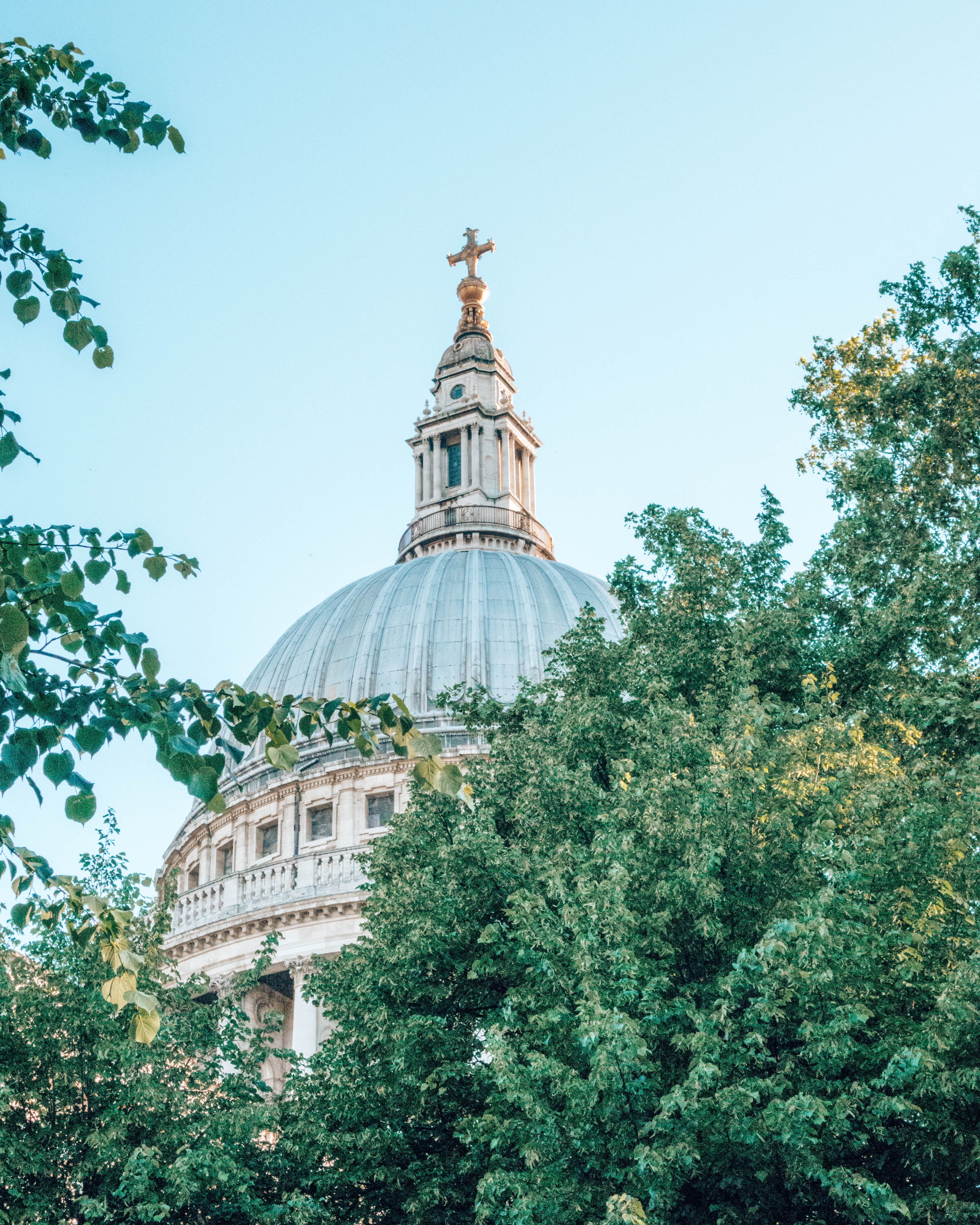 Dome of St Paul's Cathedral through summer trees
