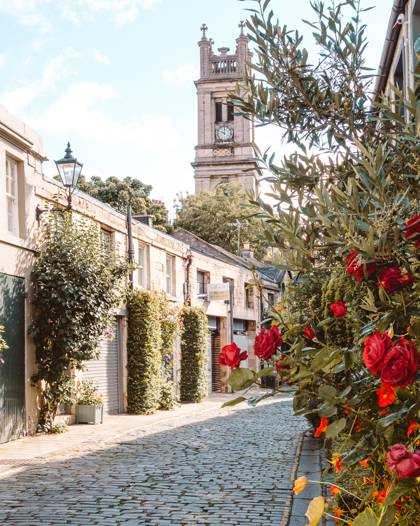 Mews houses covered in roses in front of St Vincent's Church, Edinburgh