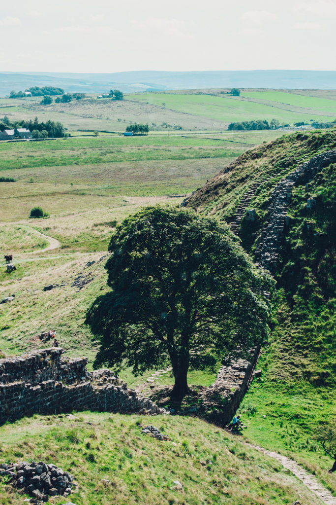 Sycamore Gap and Hadrian's Wall