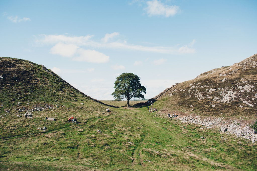 Sycamore Gap - the famous Robin Hood tree on Hadrian's Wall