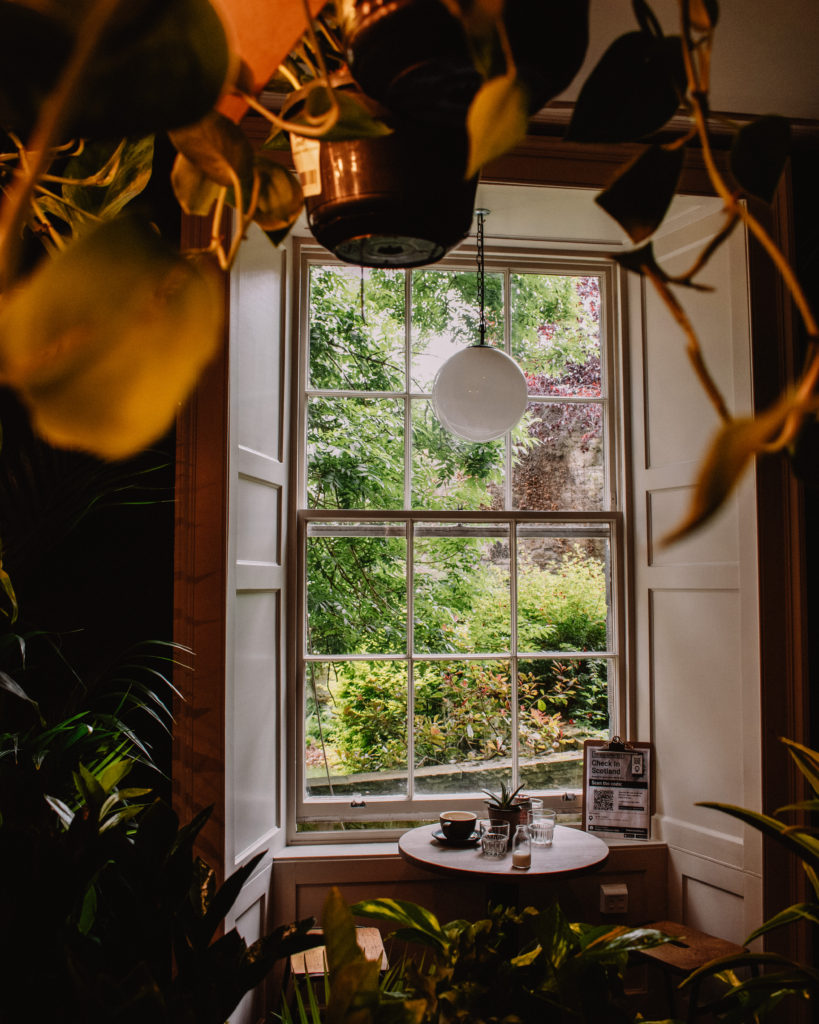 Grow Urban, Edinburgh. Large window surrounded by greenery and plants with a small table in front of it. 