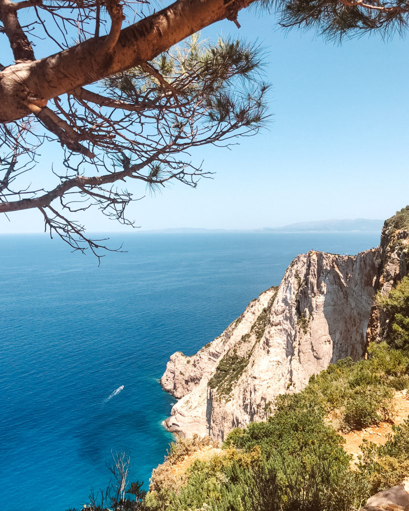 View through trees to white cliffs and blue seas