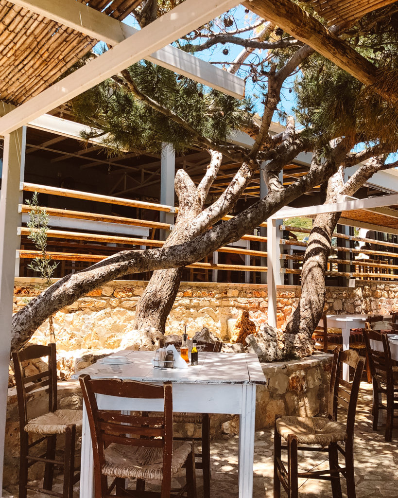 Lunch tables laid out for lunch under olive trees on terrace at Porto Limnionas