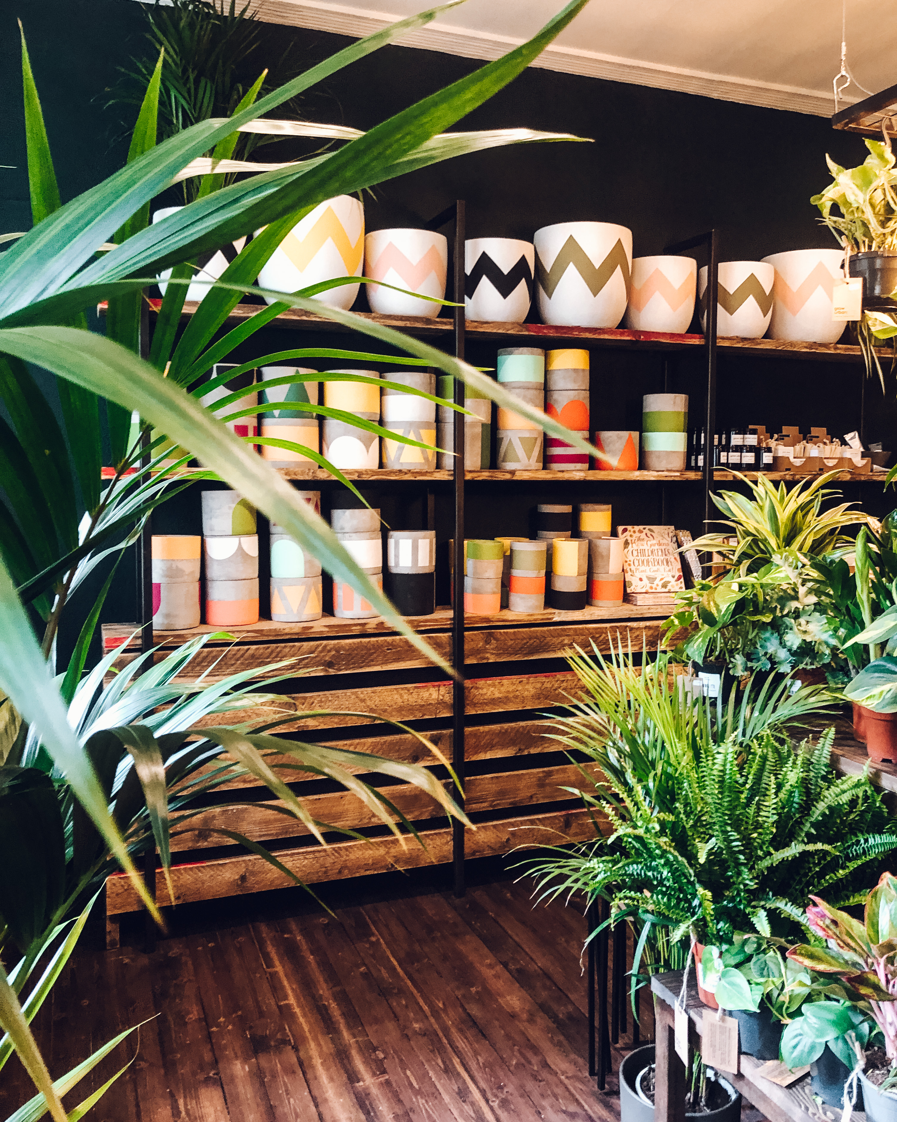 Shelves of painted plant pots and plants for sale at Grow Urban, Edinburgh. 