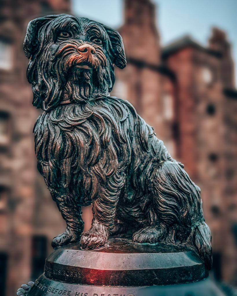 Statue of small dog, Greyfriars Bobby