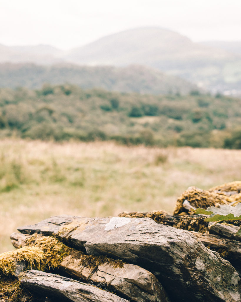 Dry stone wall in the Lake District