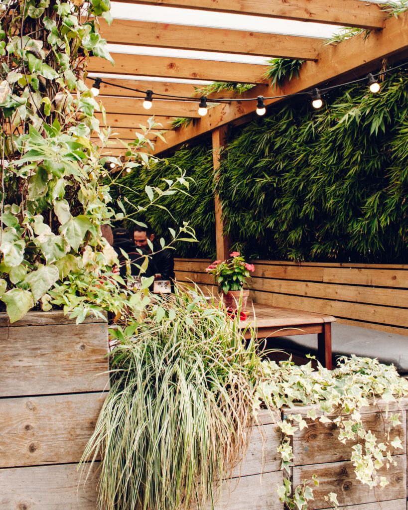 Wooden pallet seating and greenery in the beer garden at the Prince Albert, Battersea - my favourite London pub! 