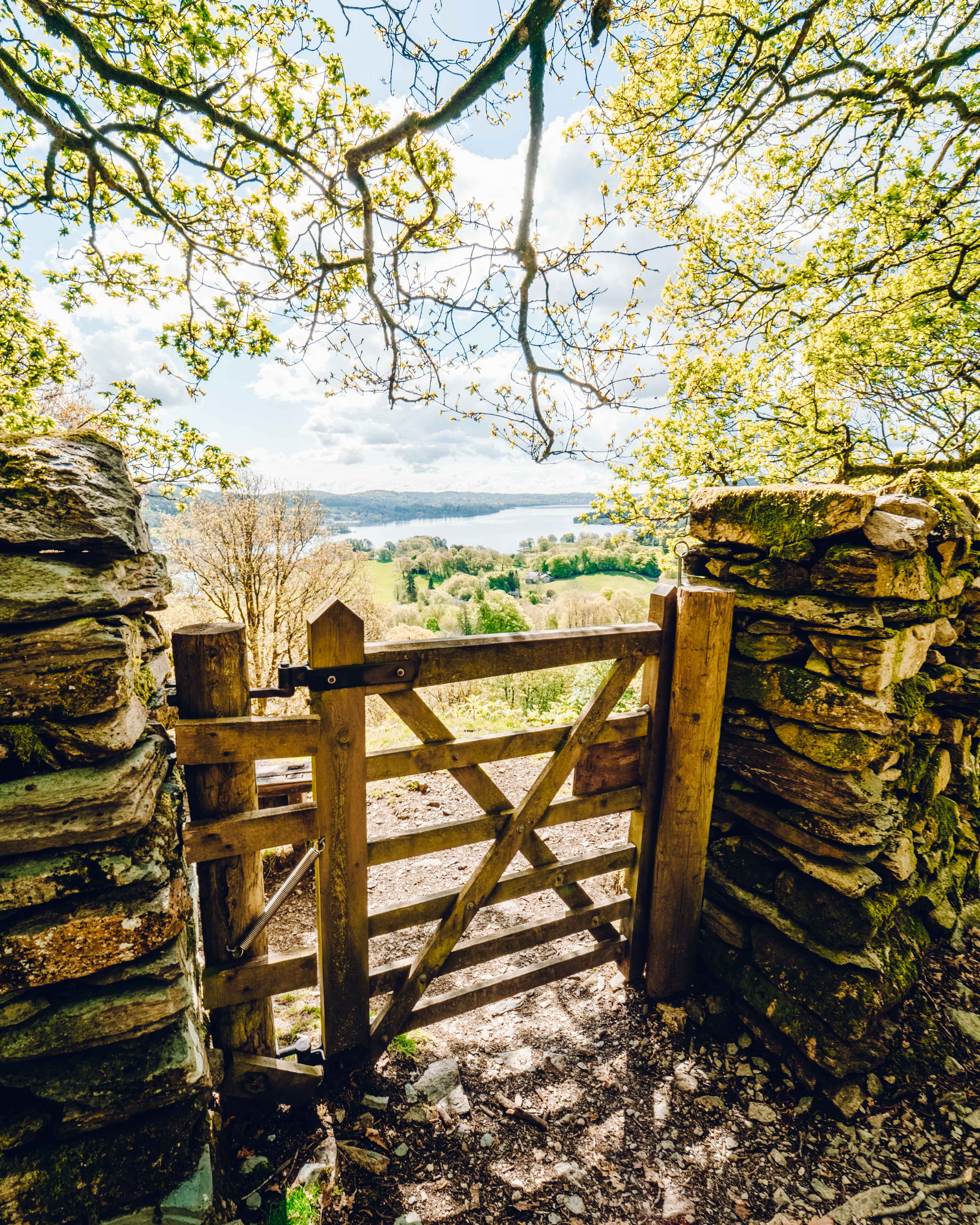 Small wooden gate on a forested path above Ambleside