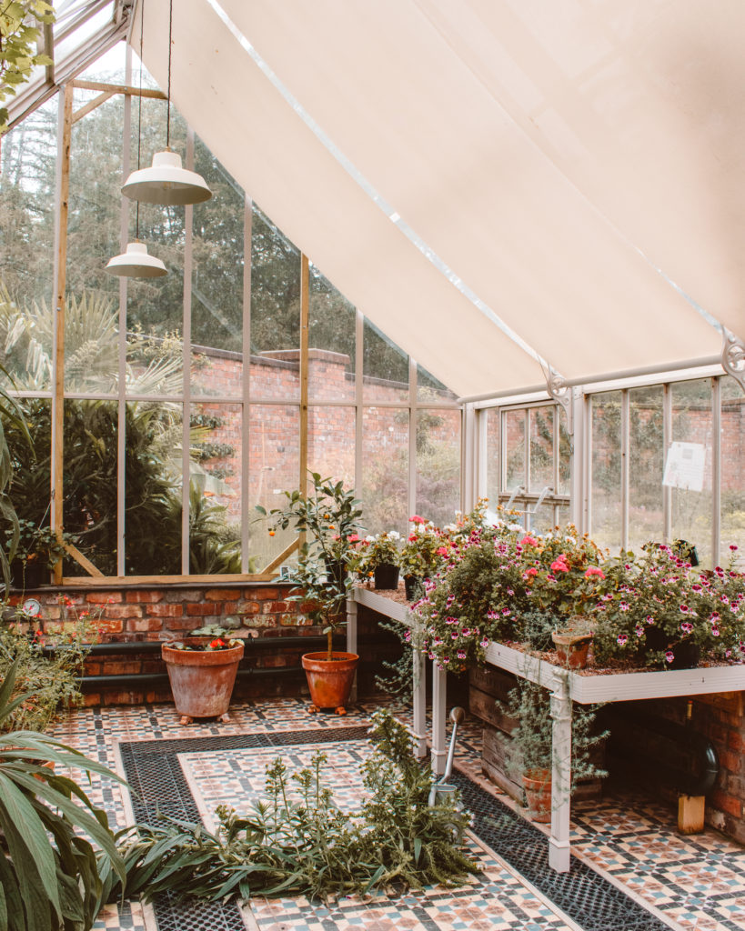 Greenhouse filled with plants at Lingholm Kitchen and Garden