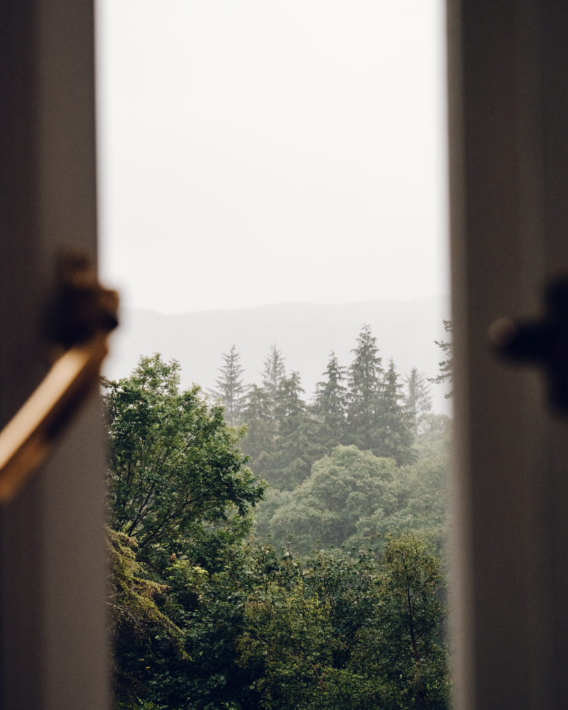Misty trees seen on a rainy, wet day through the window of Forest Side Hotel