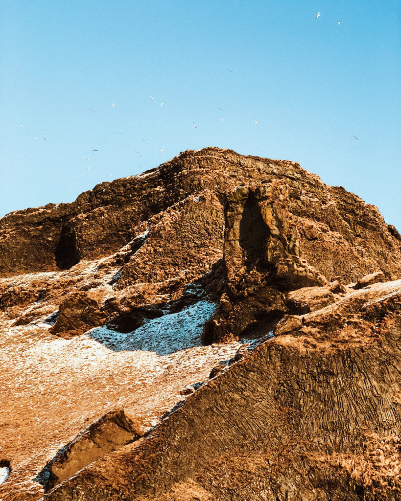 Birds flying above snow covered hills above Vik