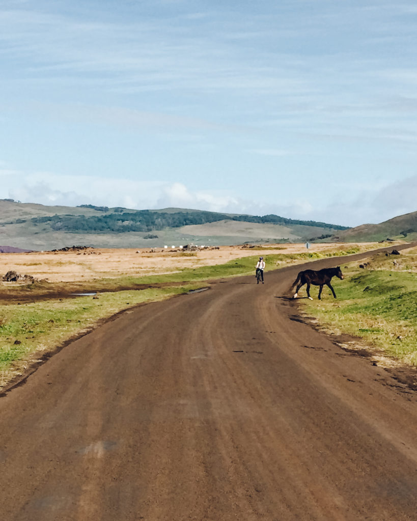 Horse crossing a dirt track un front of woman on a bike 