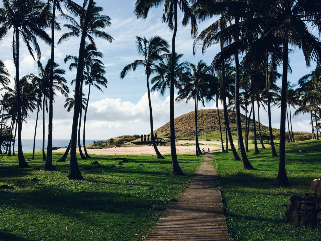 Path throw palm trees to the white sand beach of Anakena