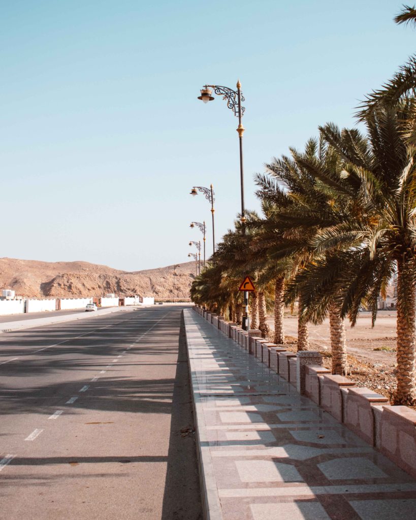 Palm fringed road in Sur, Oman