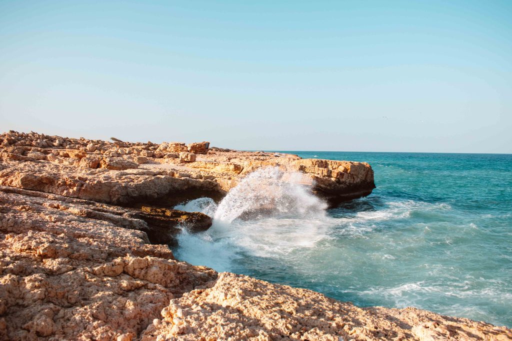 Blowholes at Fins