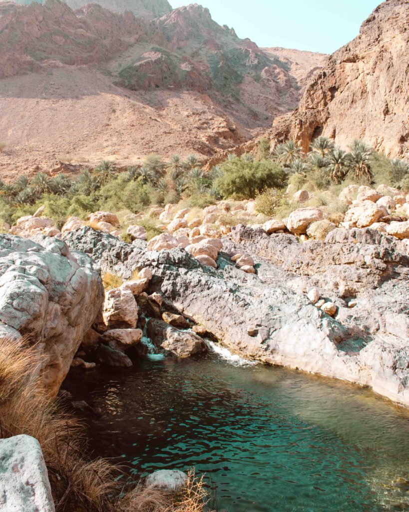 Green water pool at Wadi Arbaeen