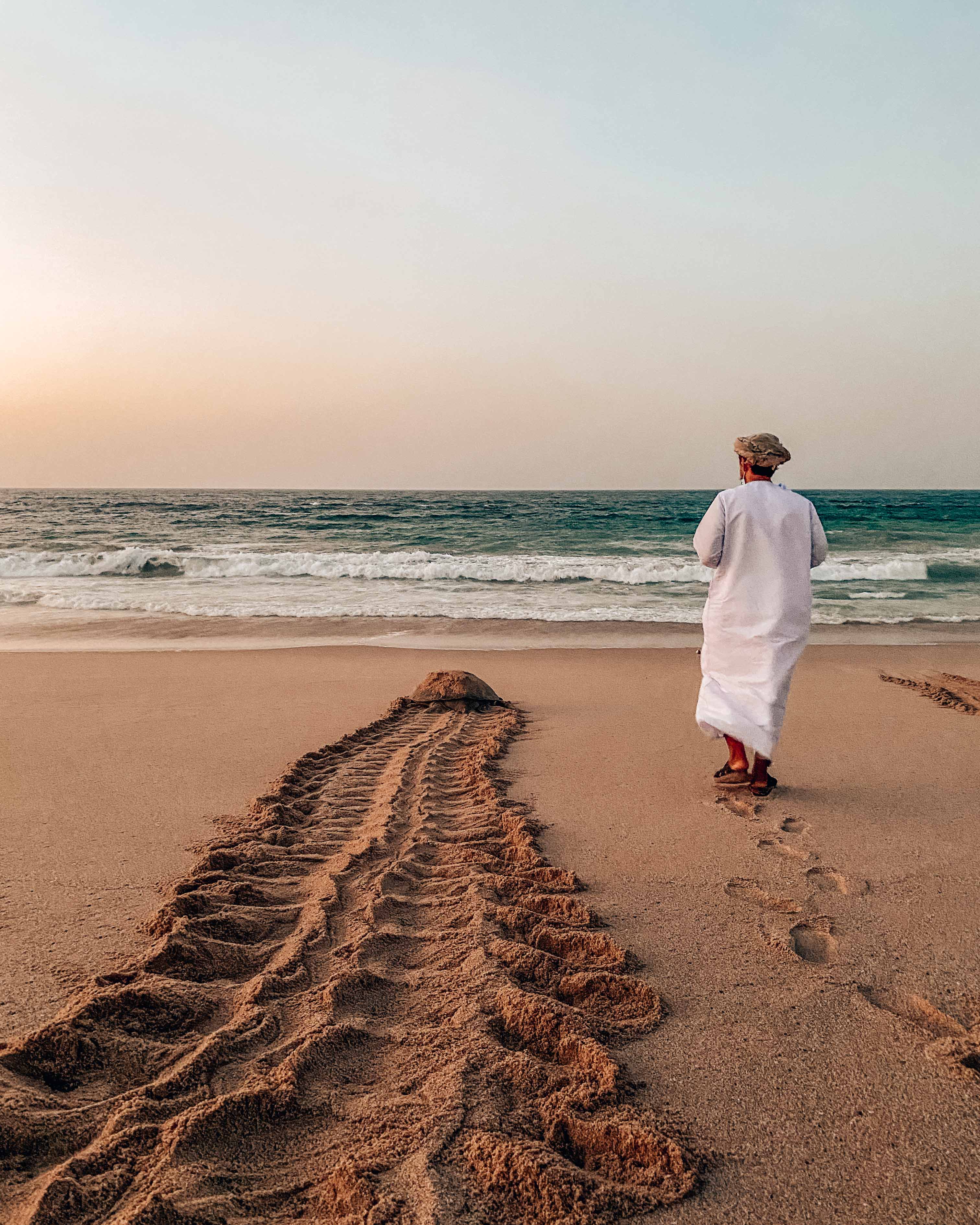 Omani man in dishdasha walking alongside a large green turtle at Ras al Jinz