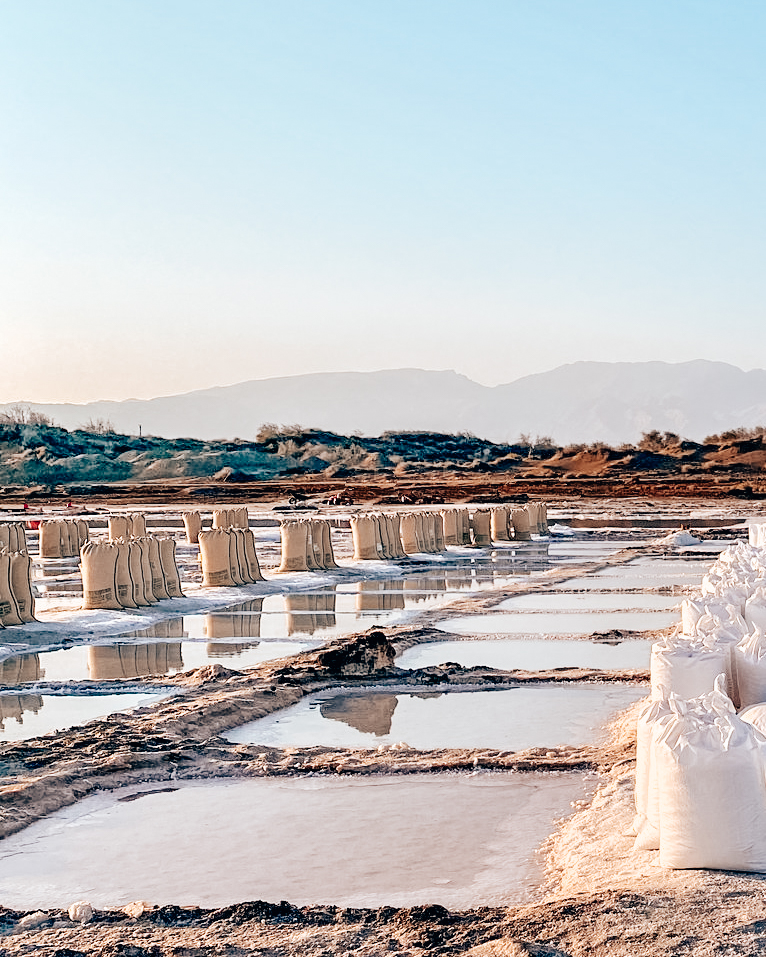 Squares of ground filled with pink water at salt farm