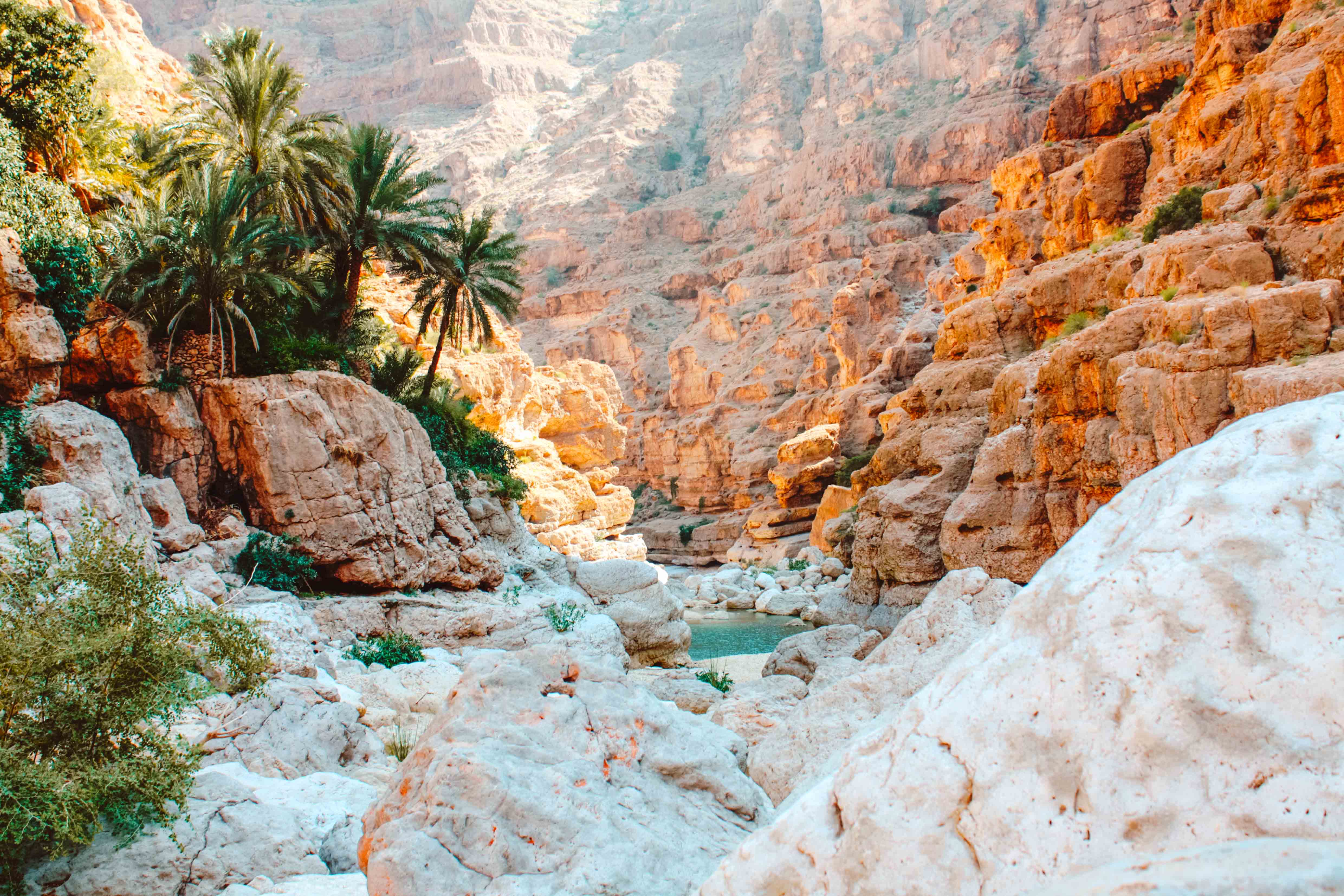 Palm trees above white boulders in the bottom of a wadi bed