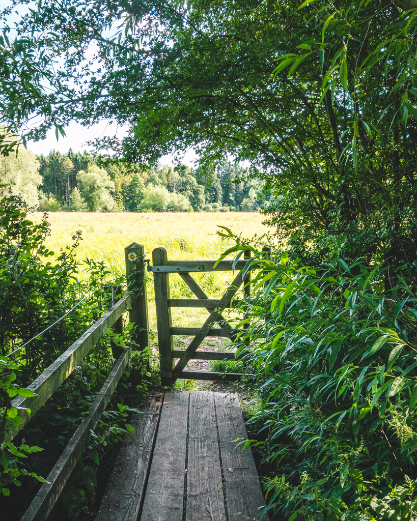 Lush green trees and grasses near a gate on the Cotswolds Way.