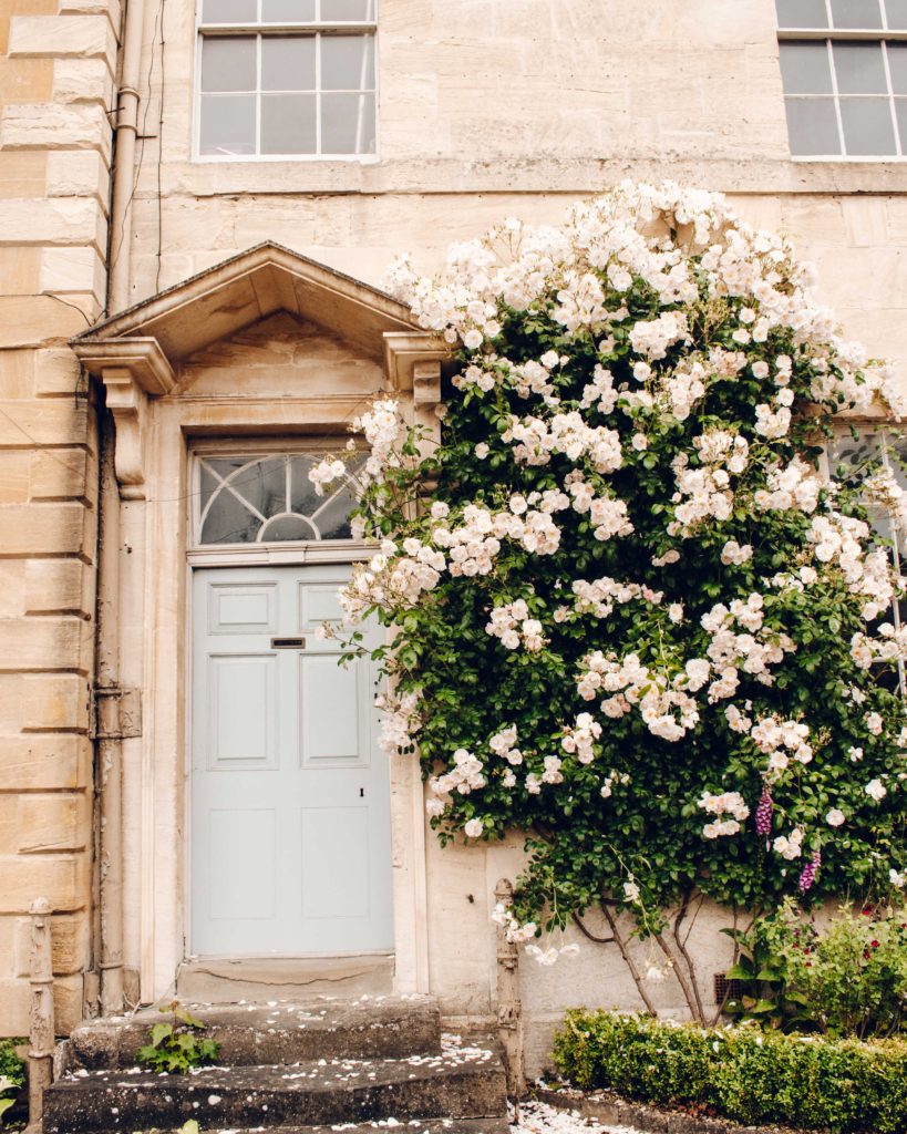 Green rose bush covered in pale roses climbing a stone building next to a pale blue door.