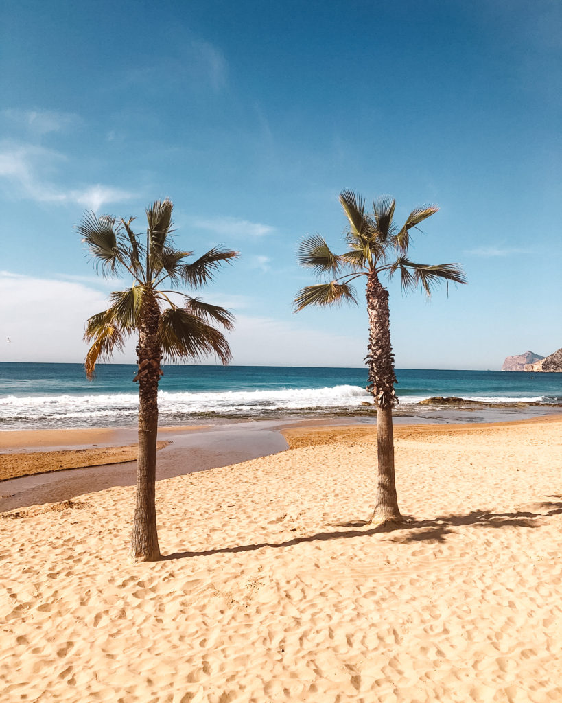 Two palm trees in front of breaking waves on golden sand in the Costa Blanca. 
