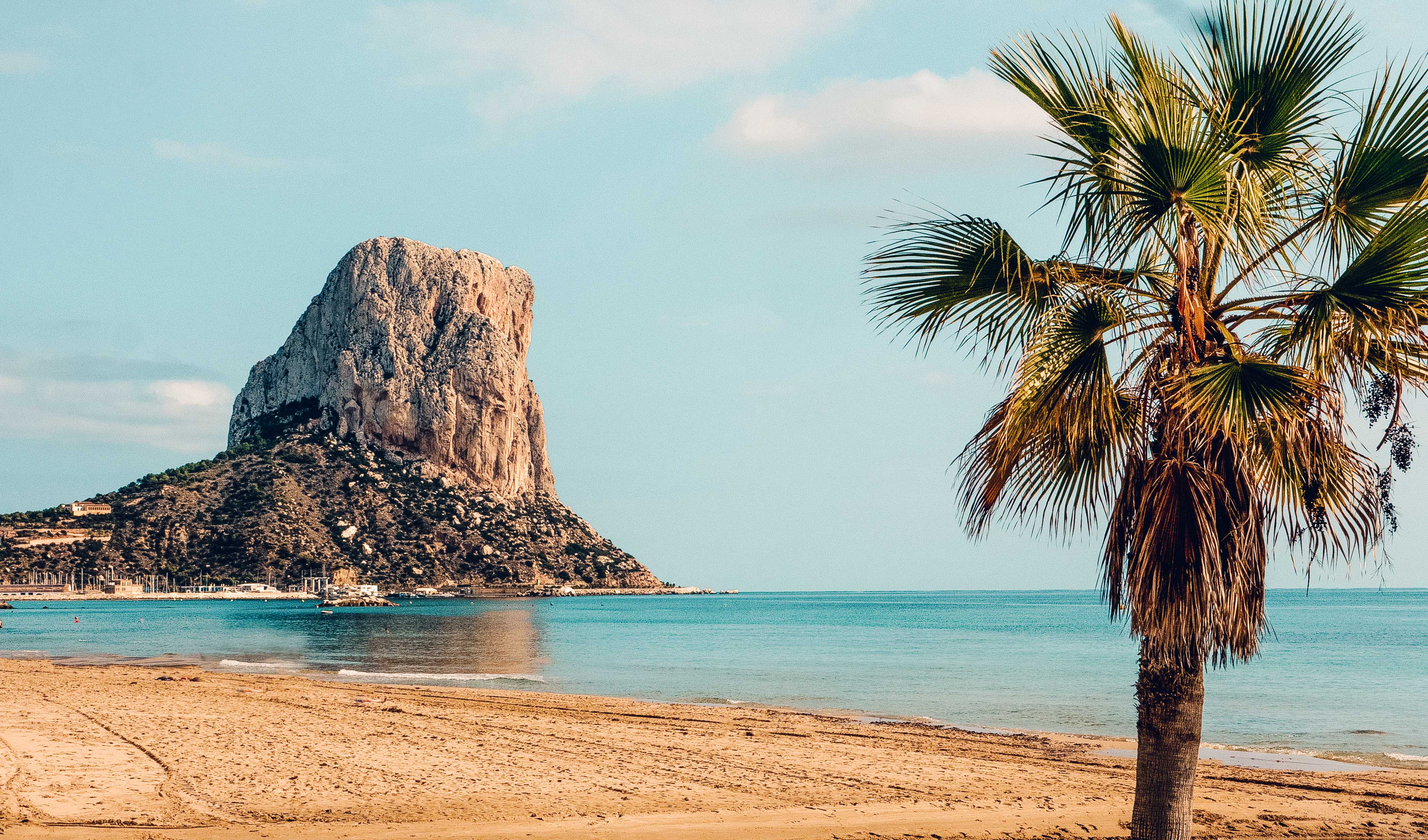 Sweep of golden sand and palm tree in front of the towering rock of the Penon d'Ifac. 