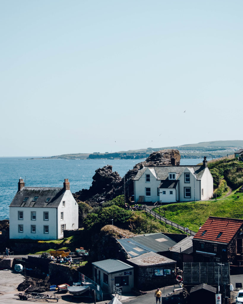 Houses around the harbour at St Abbs