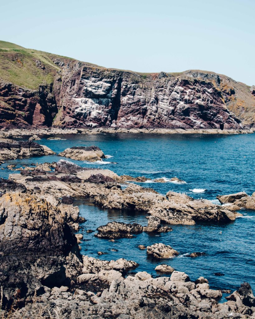St Abb's Head Nature Reserve