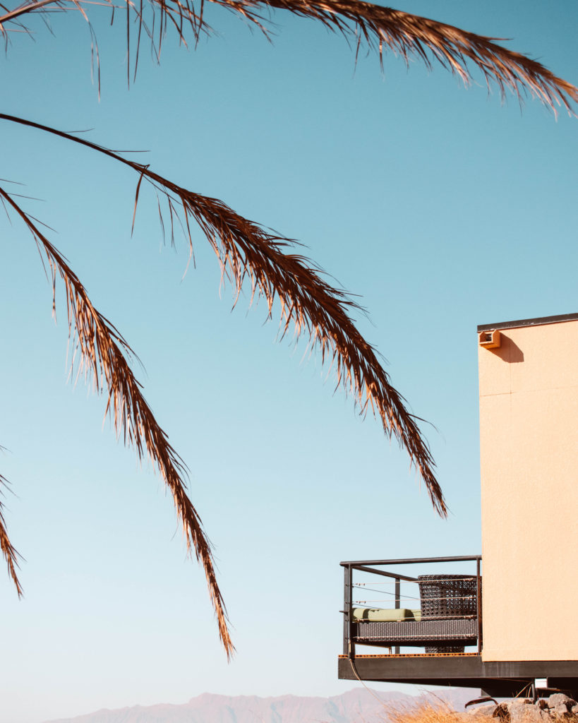 Palm tree and cabin at The View, Oman
