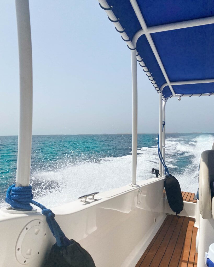 Sea spray from back of blue canvas topped boat