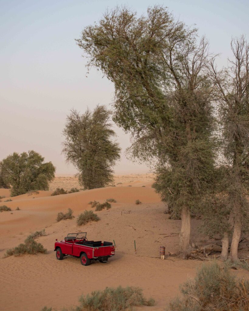 Red open top Land Rover parked under tree amongst sand dunes outside Dubai