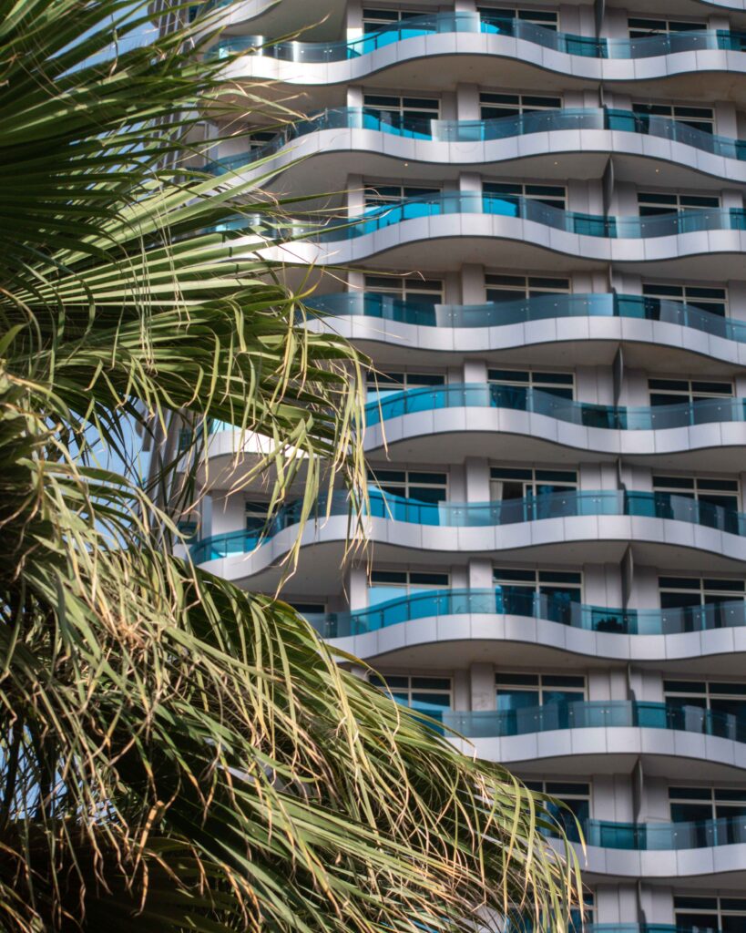 Close up of palm fronts in front of a skyscraper in Dubai
