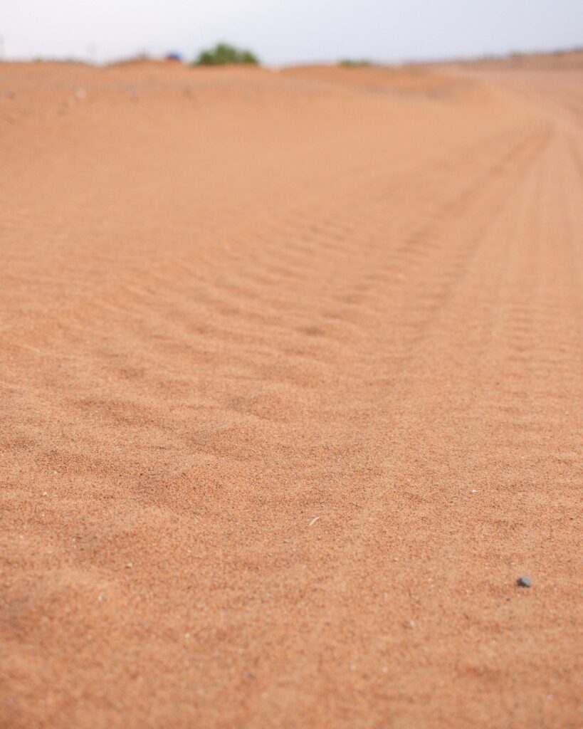 Tyre tracks in sand