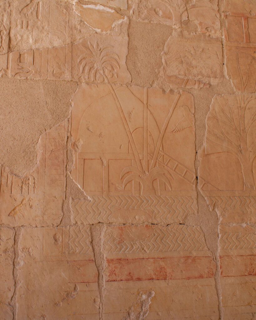 Close up detail of carving on the wall of Hatshepsut's Mortuary Temple, Luxor