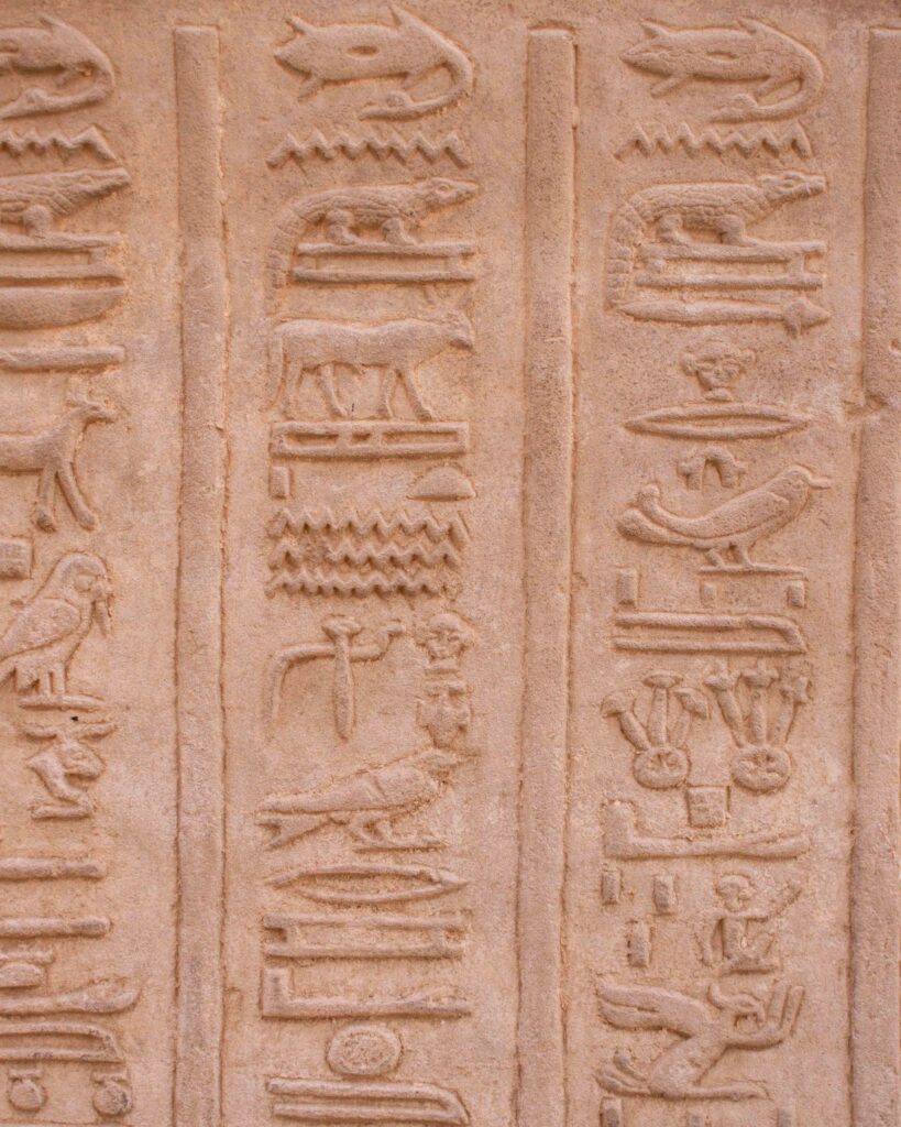 Close up of crocodile and Nile River symbols carved in hieroglyphs on the wall of Kom Ombu Temple, Egypt 