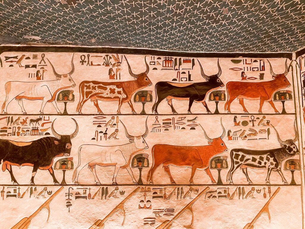 Close up of intricately painted cows on the walls of the tomb of Nefertari