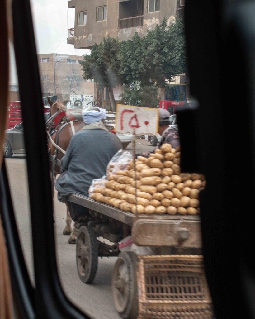 Street seller driving a horse and cart on the streets of Cairo