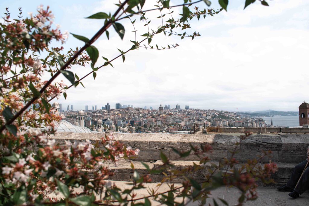 View over Istanbul from the terrace of Süleymaniye Mosque