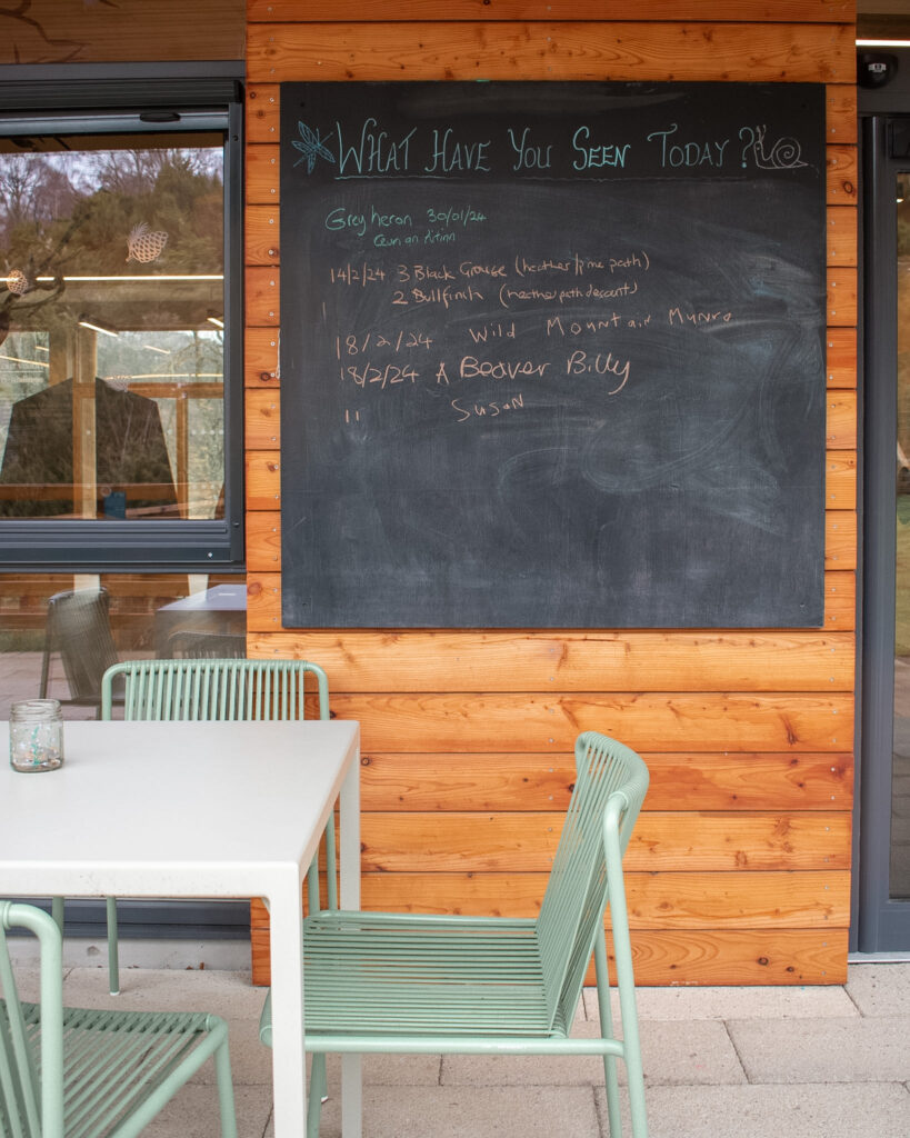 A black chalk board on a varnished wooden clad wall displays a list of animals spotted that day at Dundreggan Rewilding Centre in Scotland. 