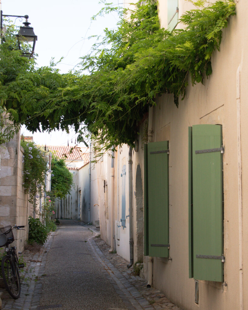 A bike is parked in a small alleyway in La Flotte, under green vines growing across the cobbled street.