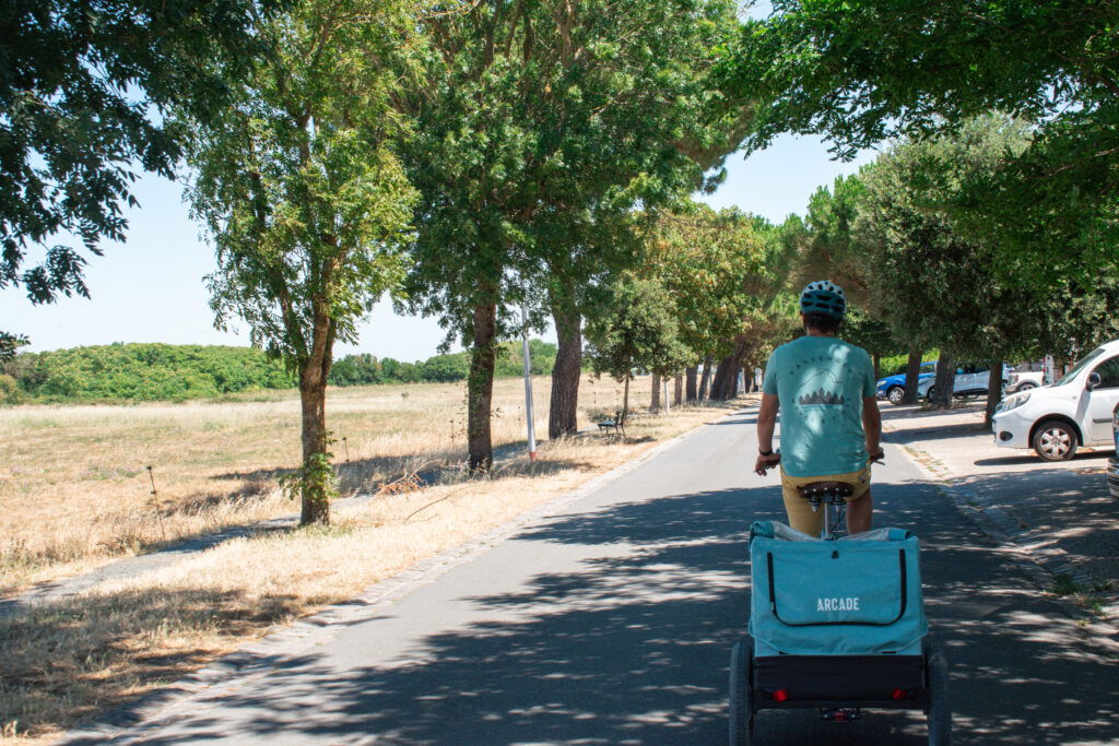 A man in green tshirt and yellow shorts cycles along a sunny tree lined avenue on Ile de Re, pulling a children's bike trailer.